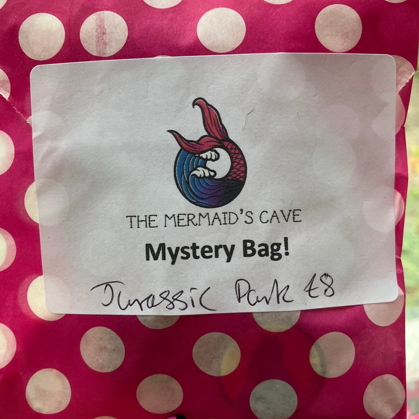 Jurassic Mystery Bag
