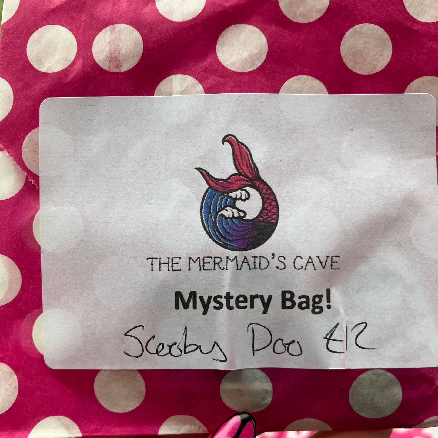 Cartoon Dog Mystery Bag