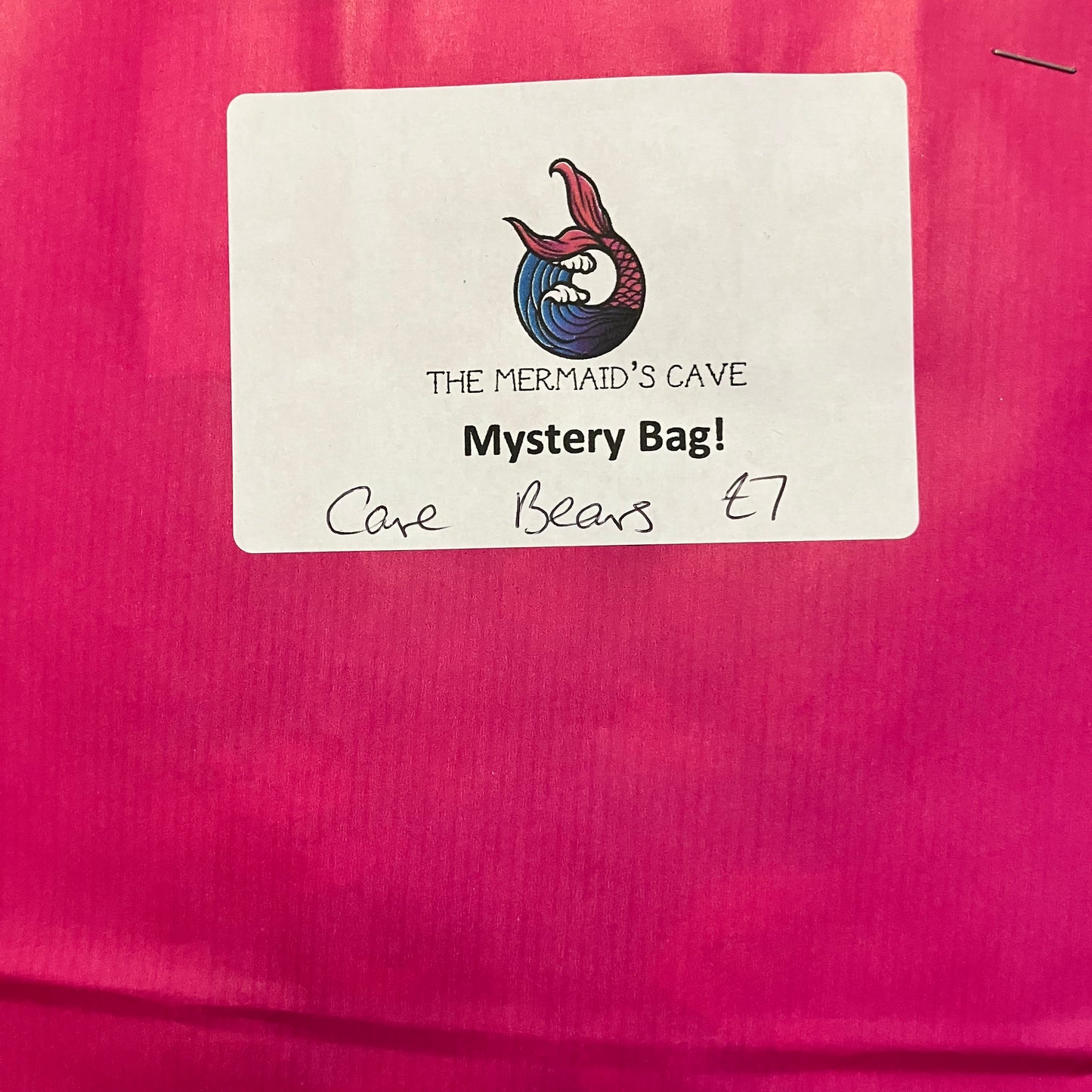 Cartoon Bear Mystery Bag