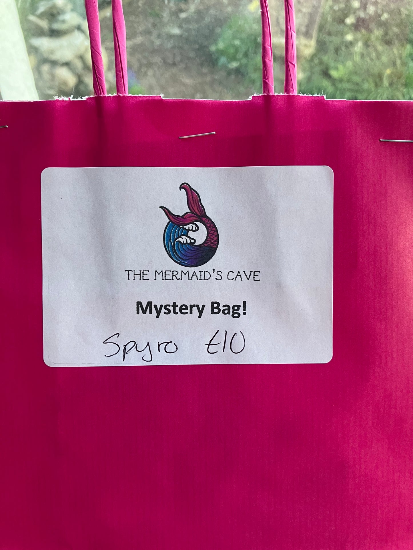 Dragon Game Mystery Bag