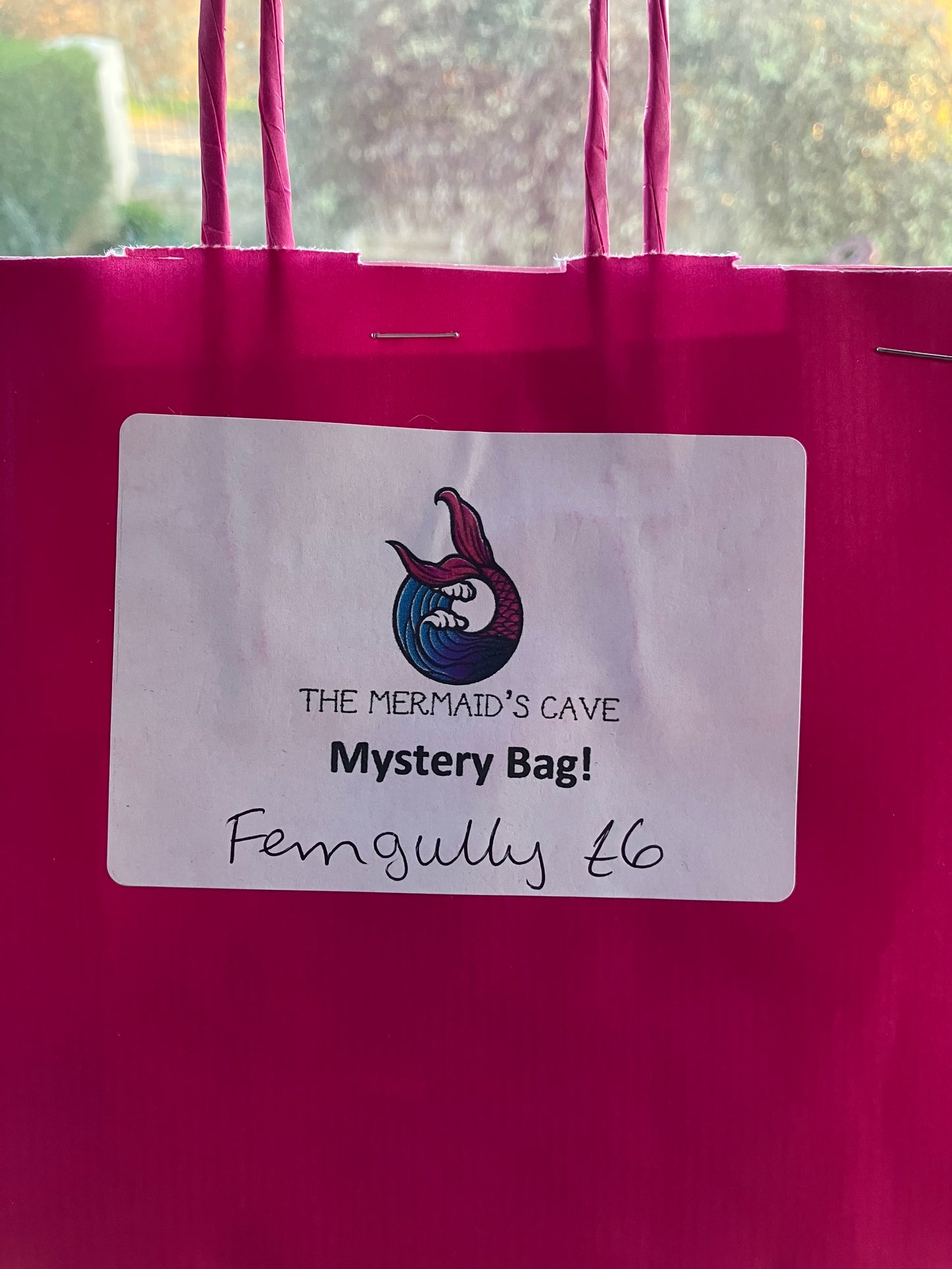 Cartoon Mystery Bag