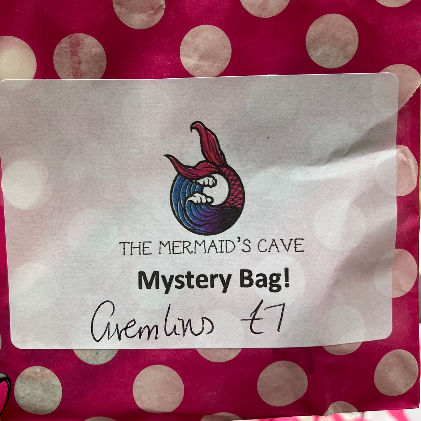 Creature Mystery Bag