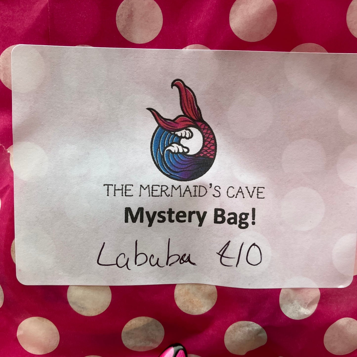 Creature Mystery Bag