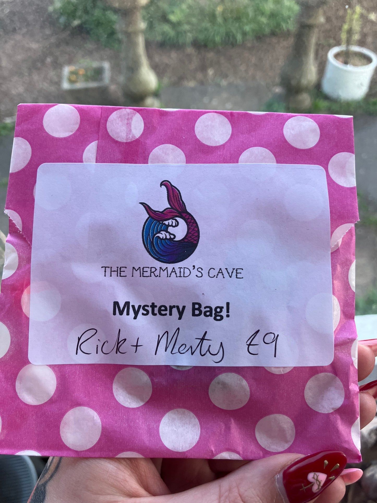 Adult Cartoon Mystery Bag