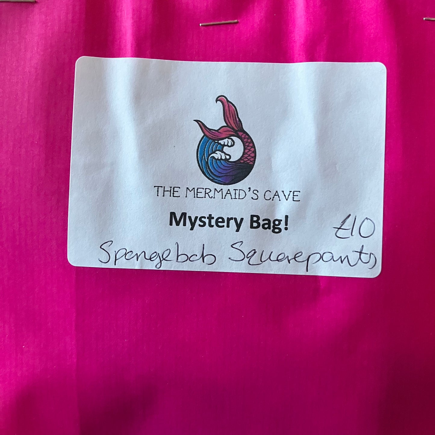 Sponge Mystery Bag