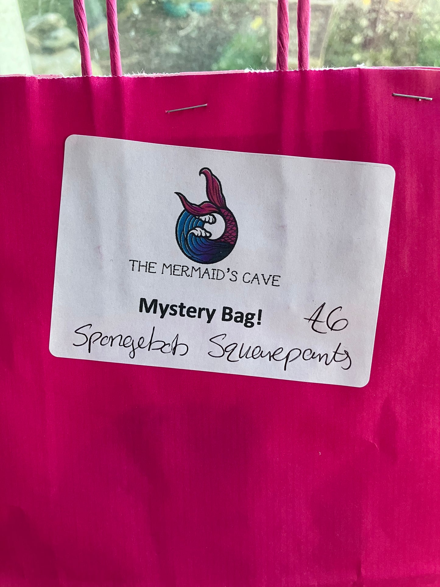 Sponge Mystery Bag