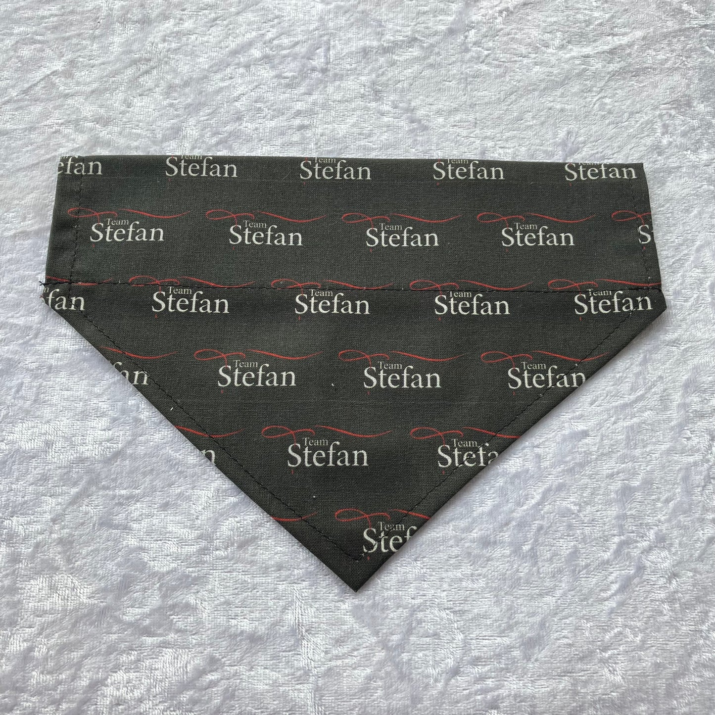 Team Stefan Dog Bandana