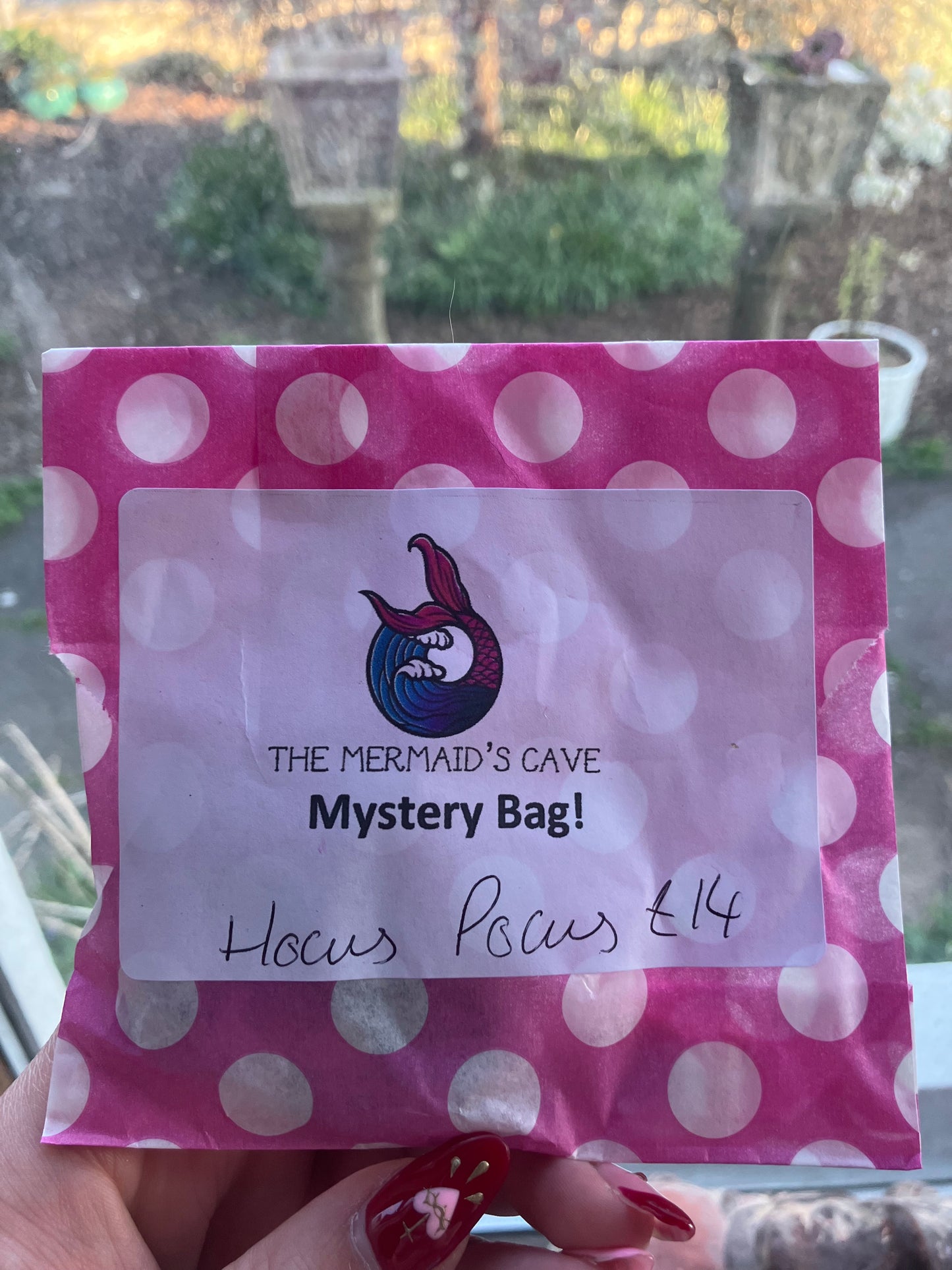 Halloween Witch Mystery Bag