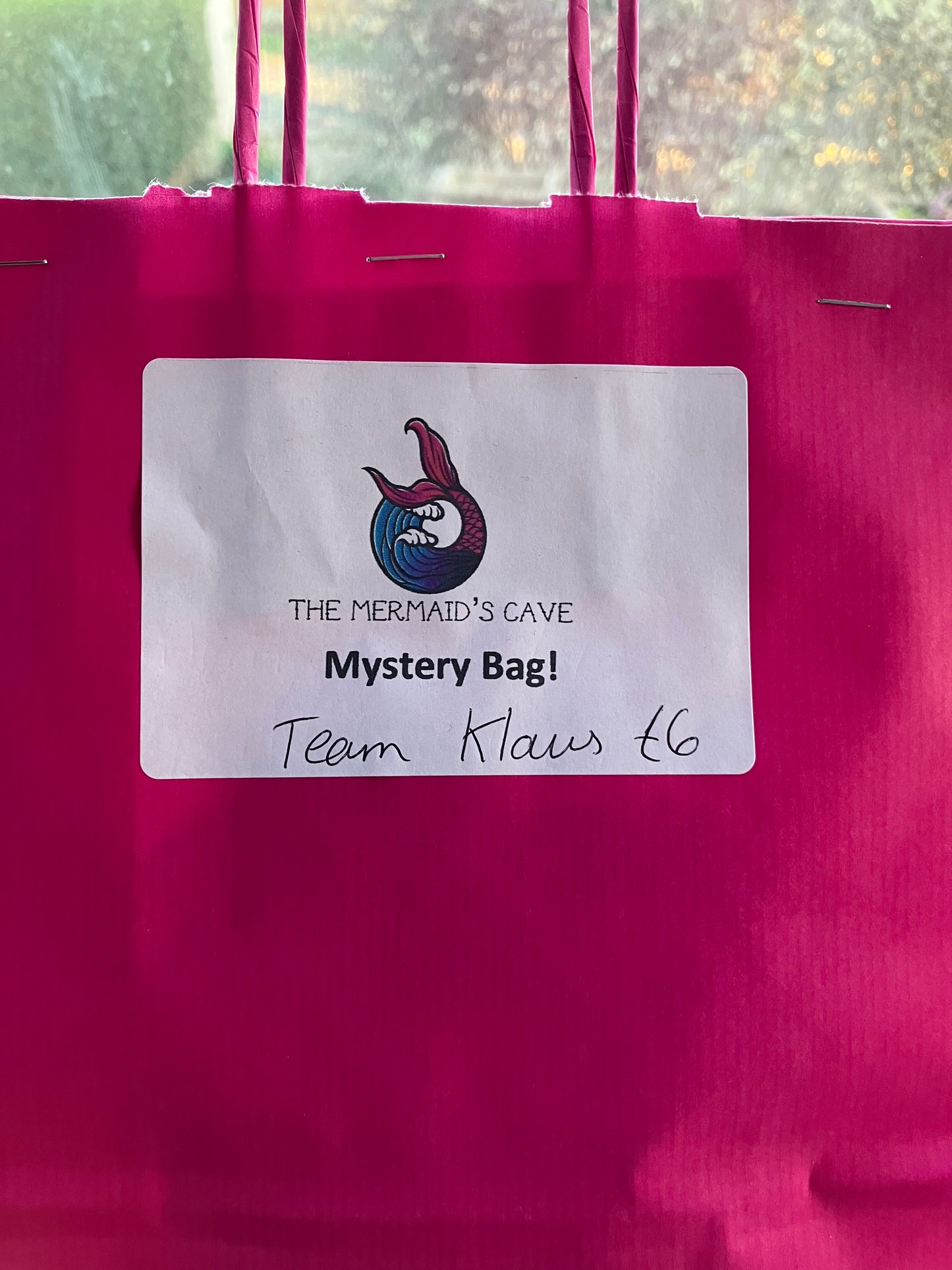 Team Klaus Mystery Bag