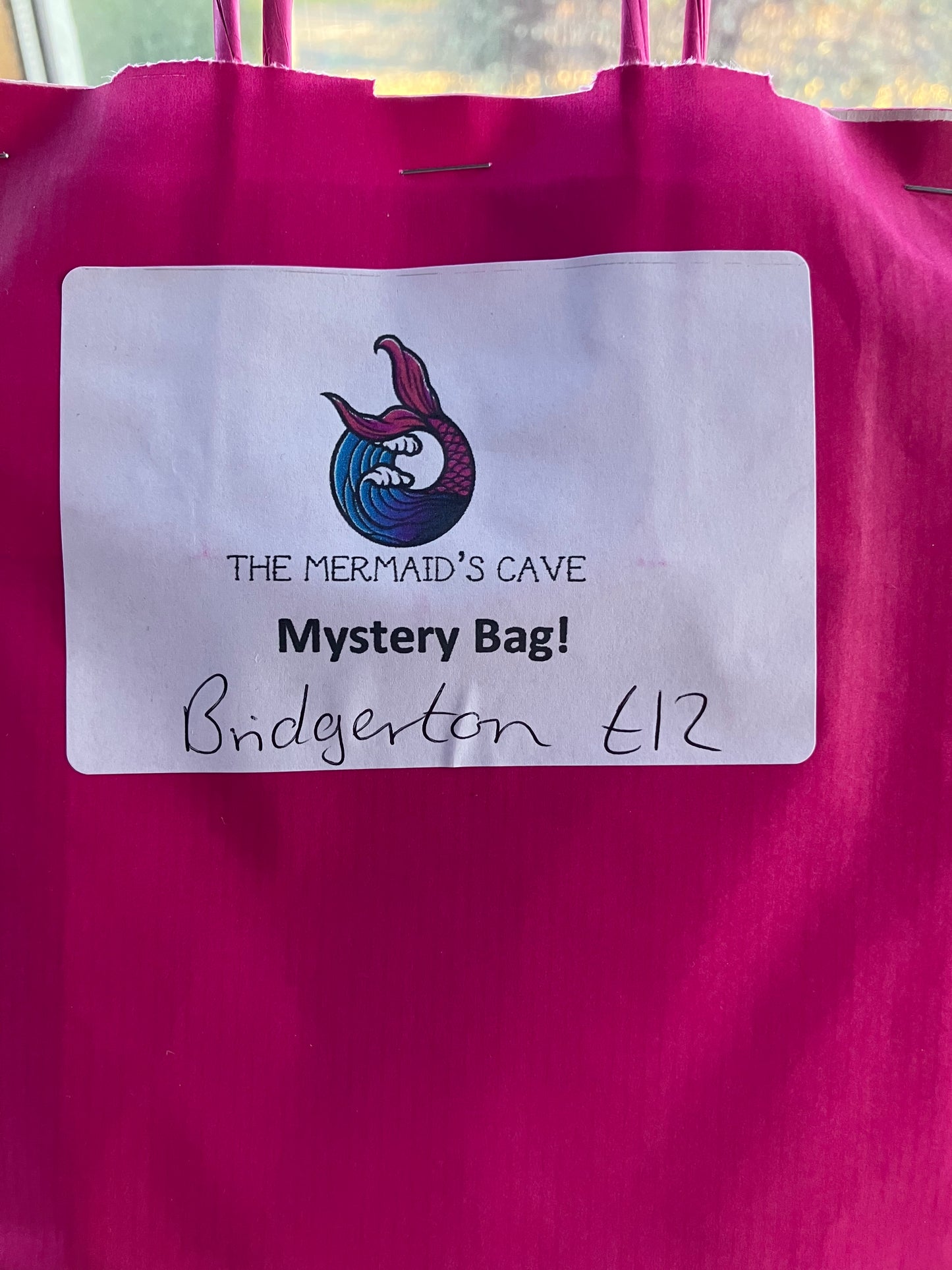 Regency Mystery Bag