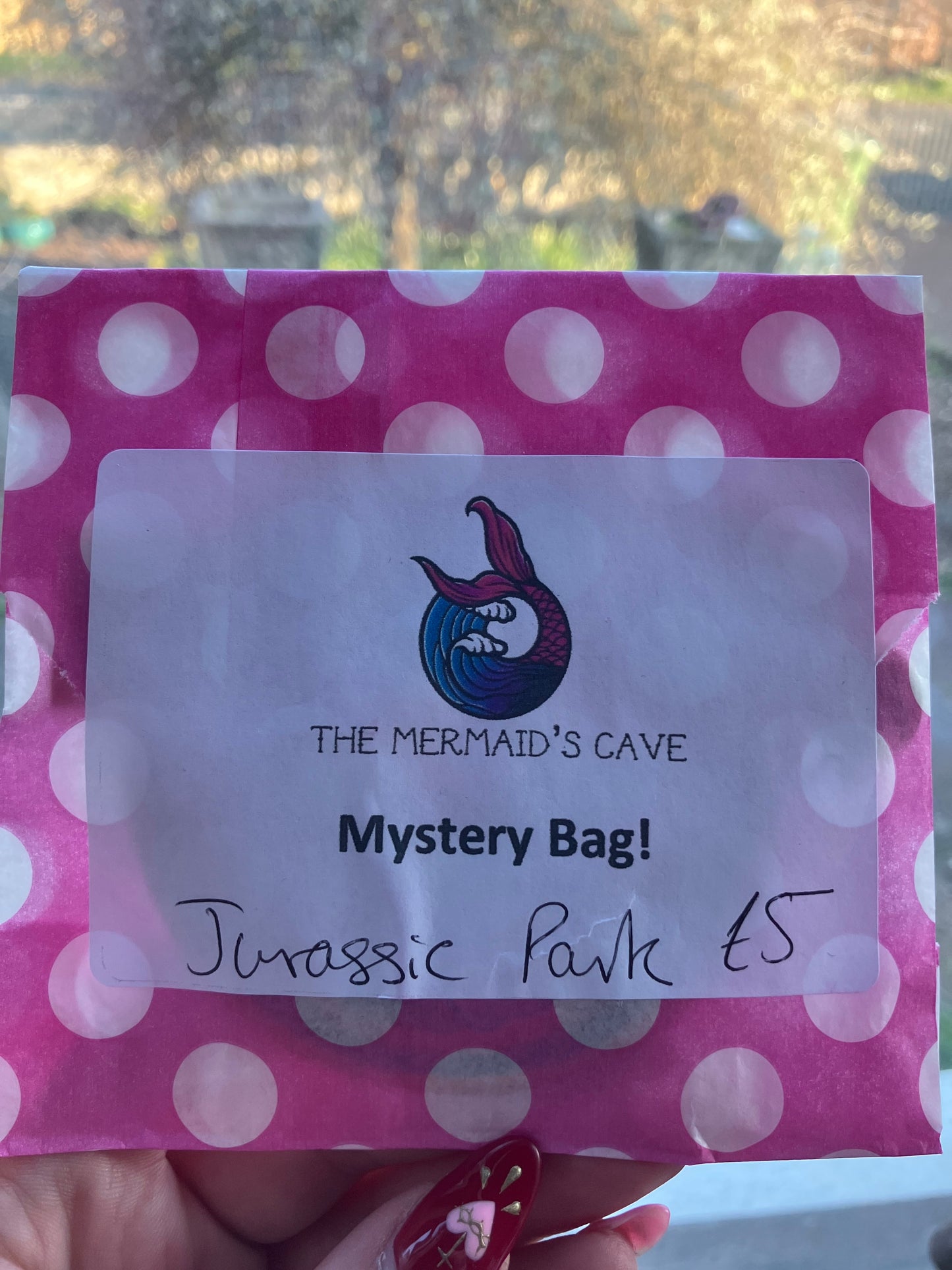 Jurassic Mystery Bag