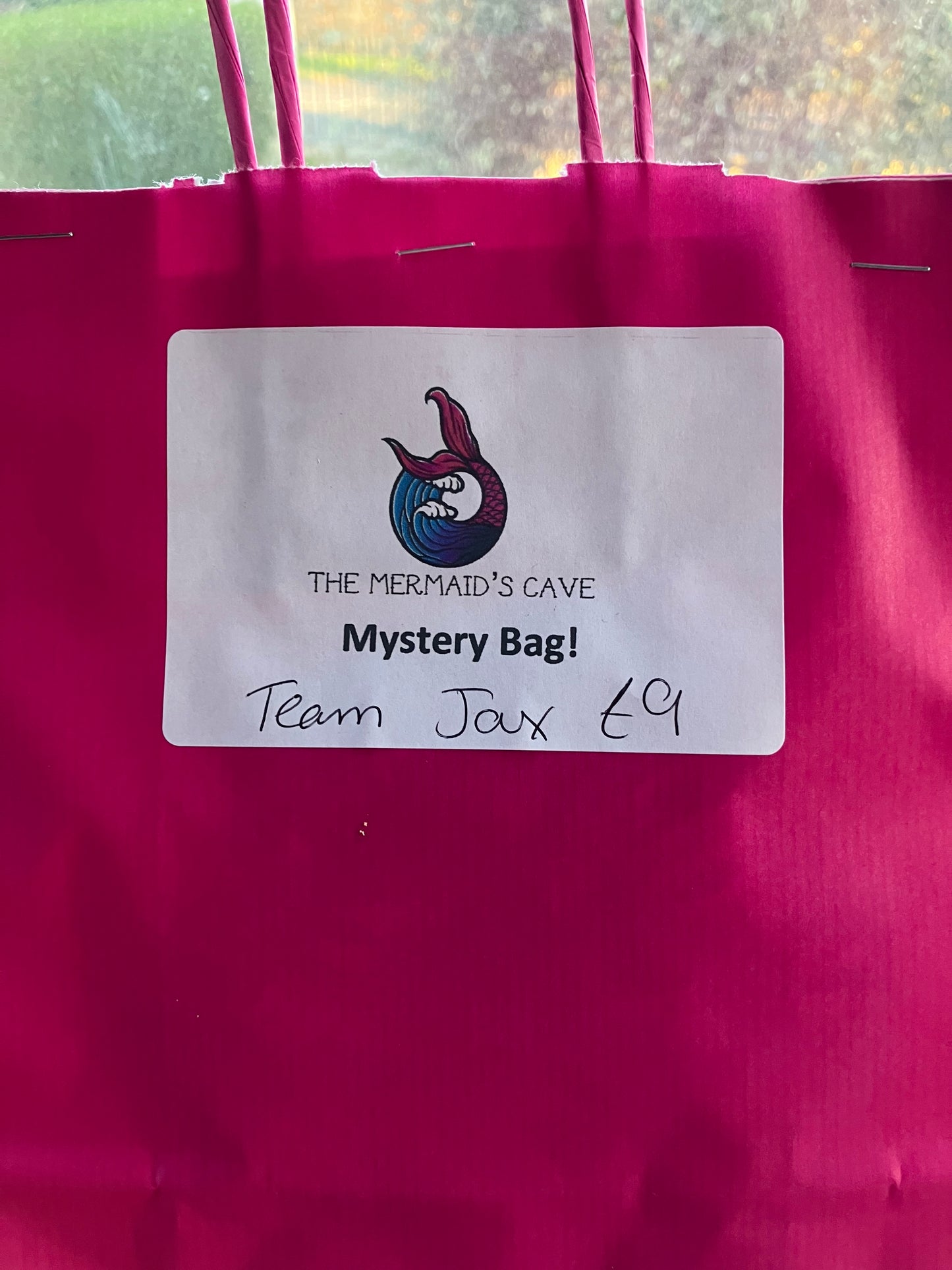 Team Jax Mystery Bag