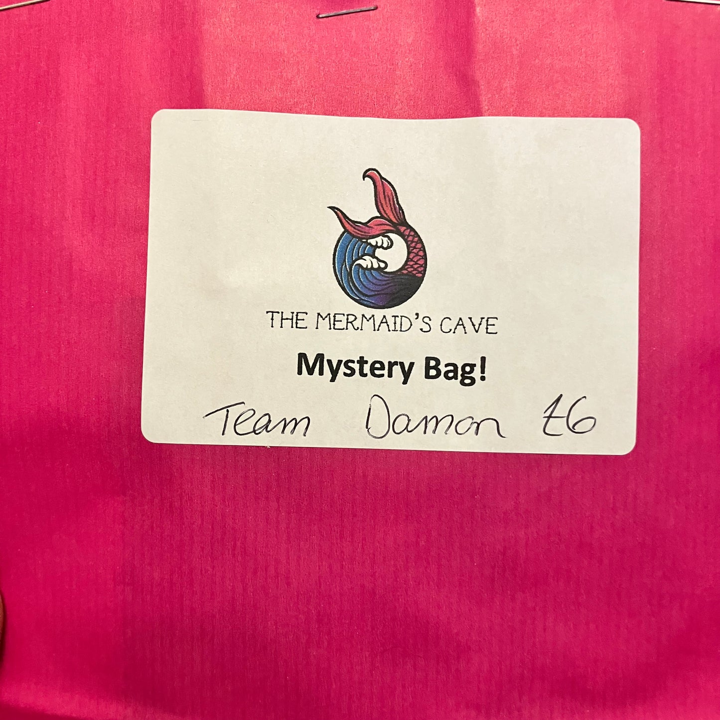 Team Damon Mystery Bag
