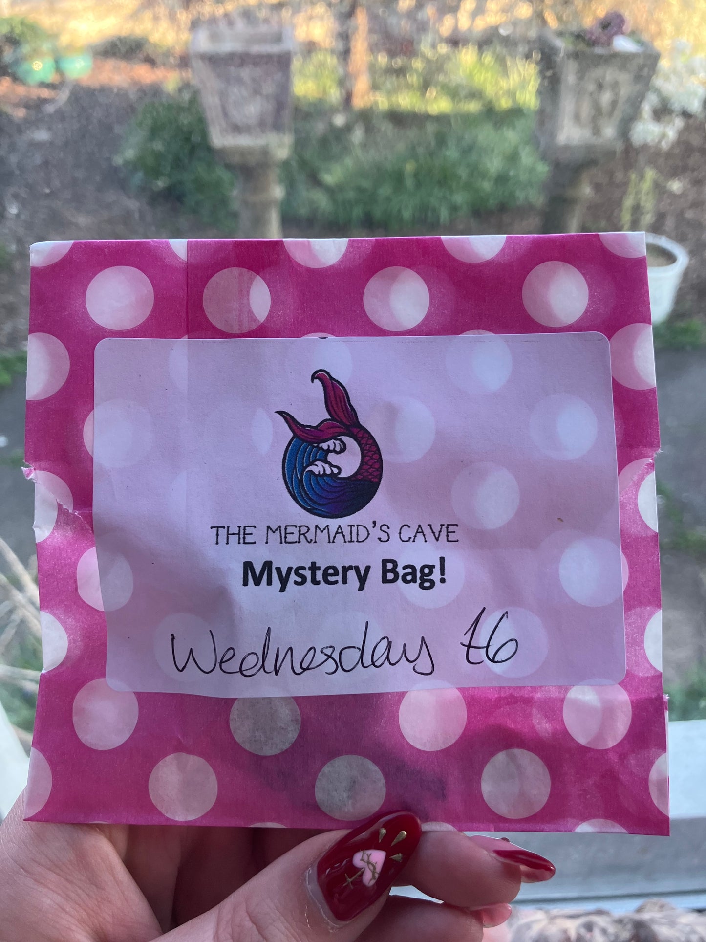 Wednesday Mystery Bag