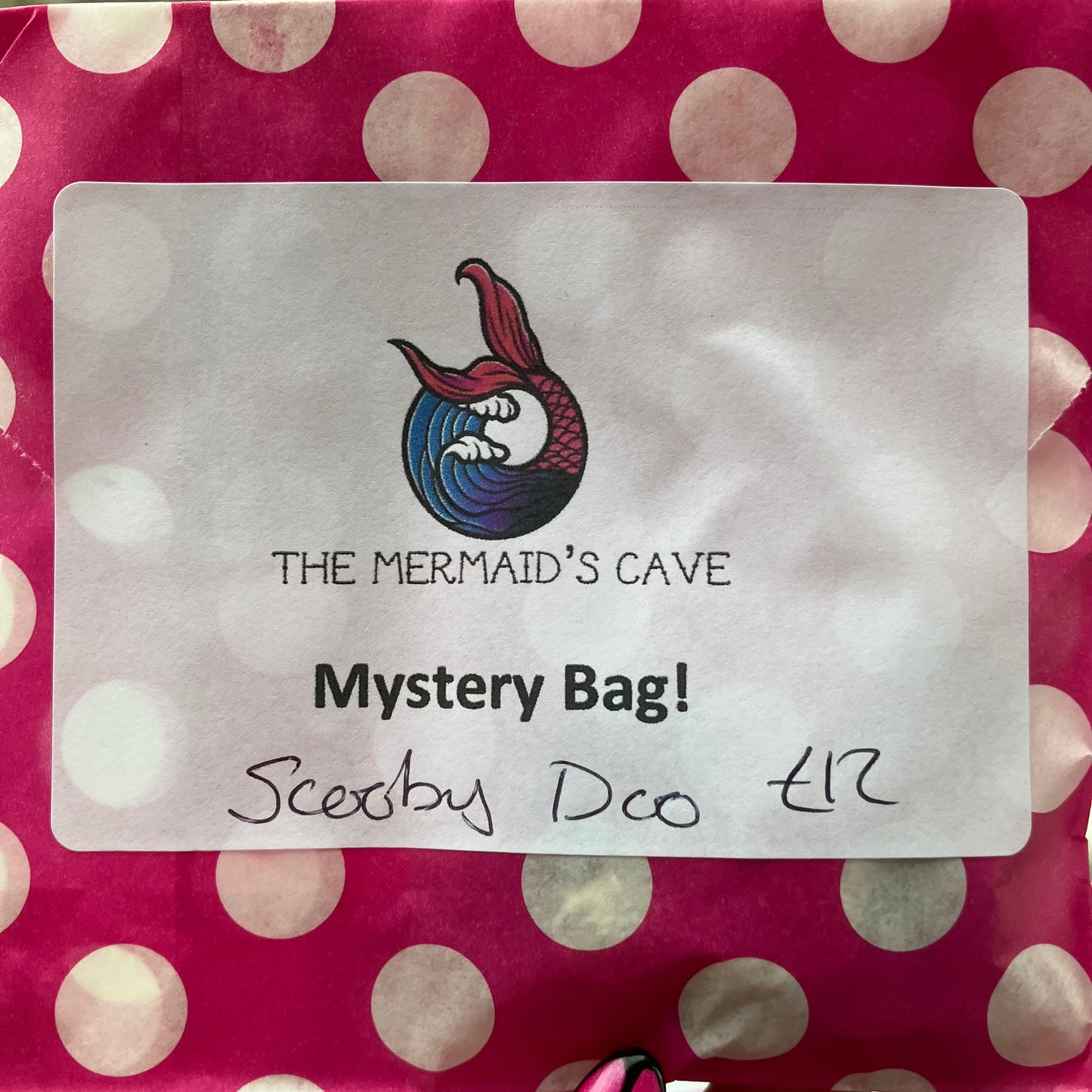 Cartoon Dog Mystery Bag