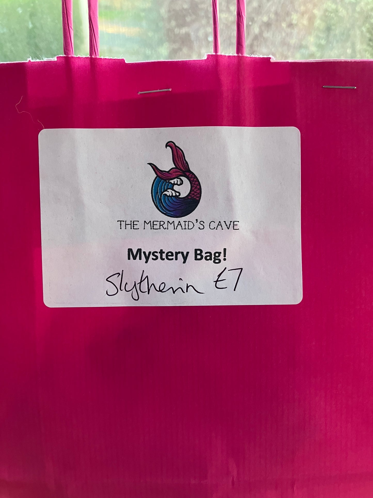 House Mystery Bag