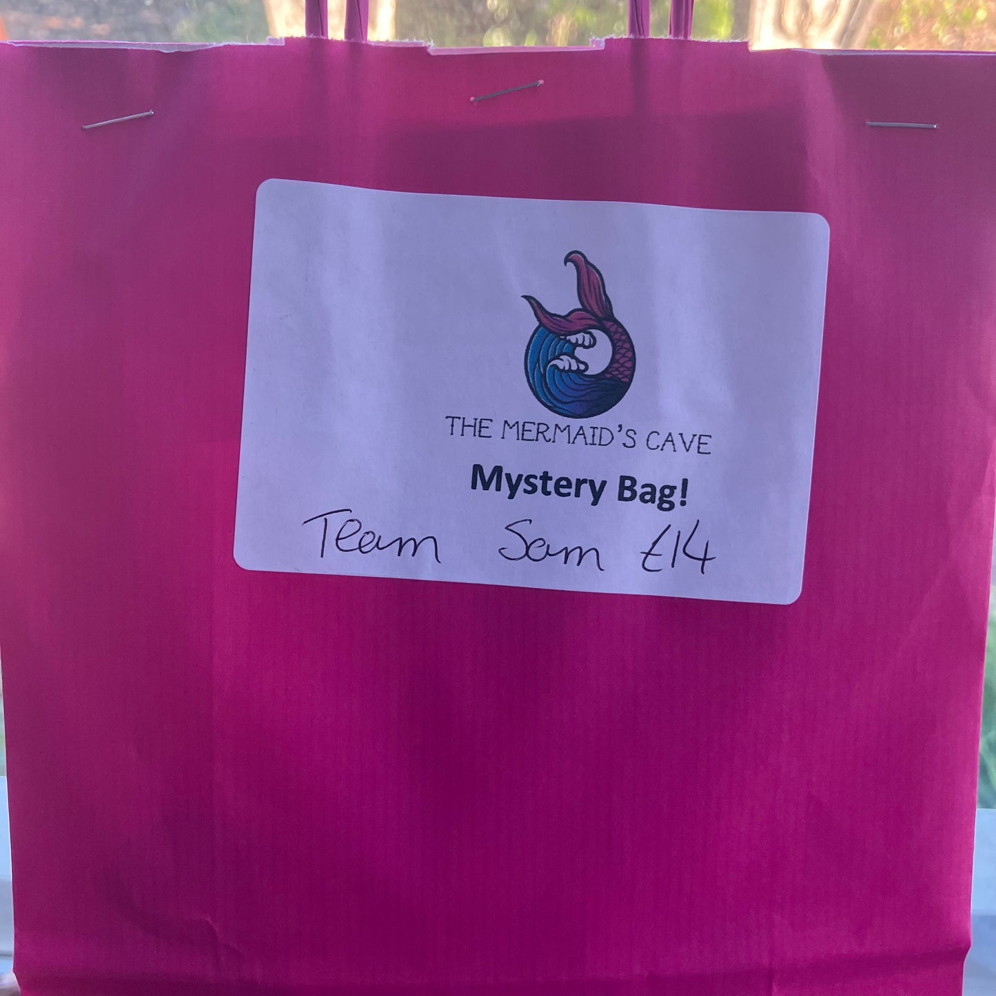 Team Sam Mystery Bag