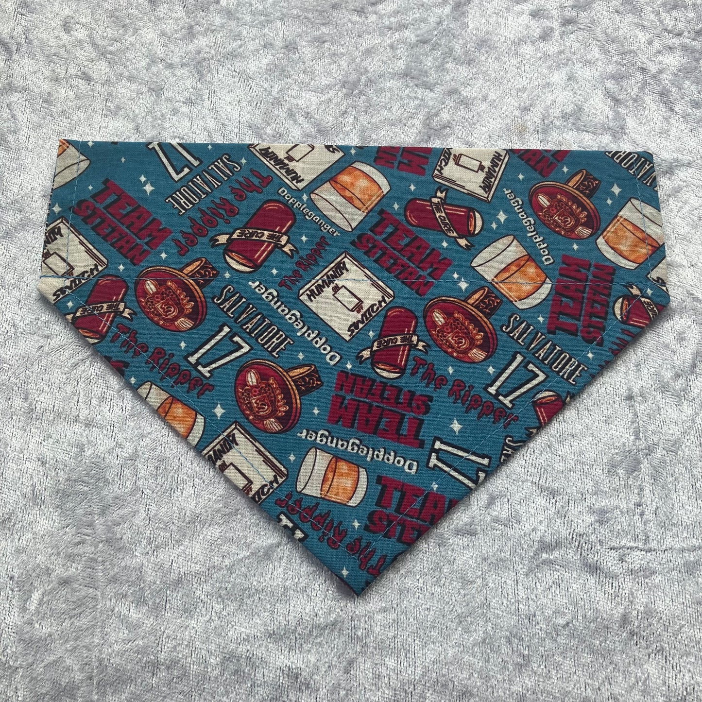 Team Stefan Dog Bandana