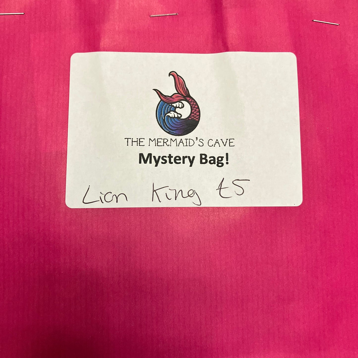 Cartoon Lion Mystery Bag