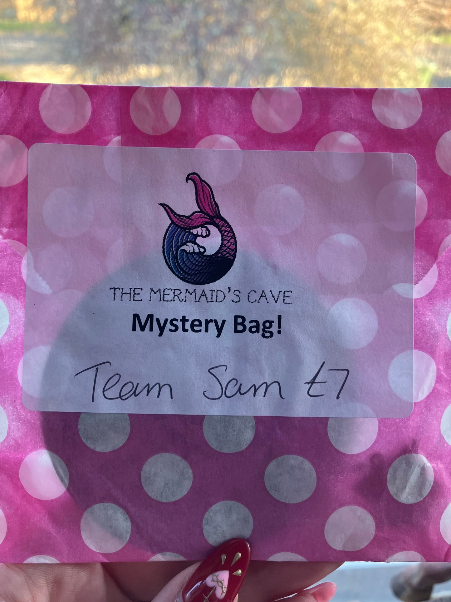 Team Sam Mystery Bag