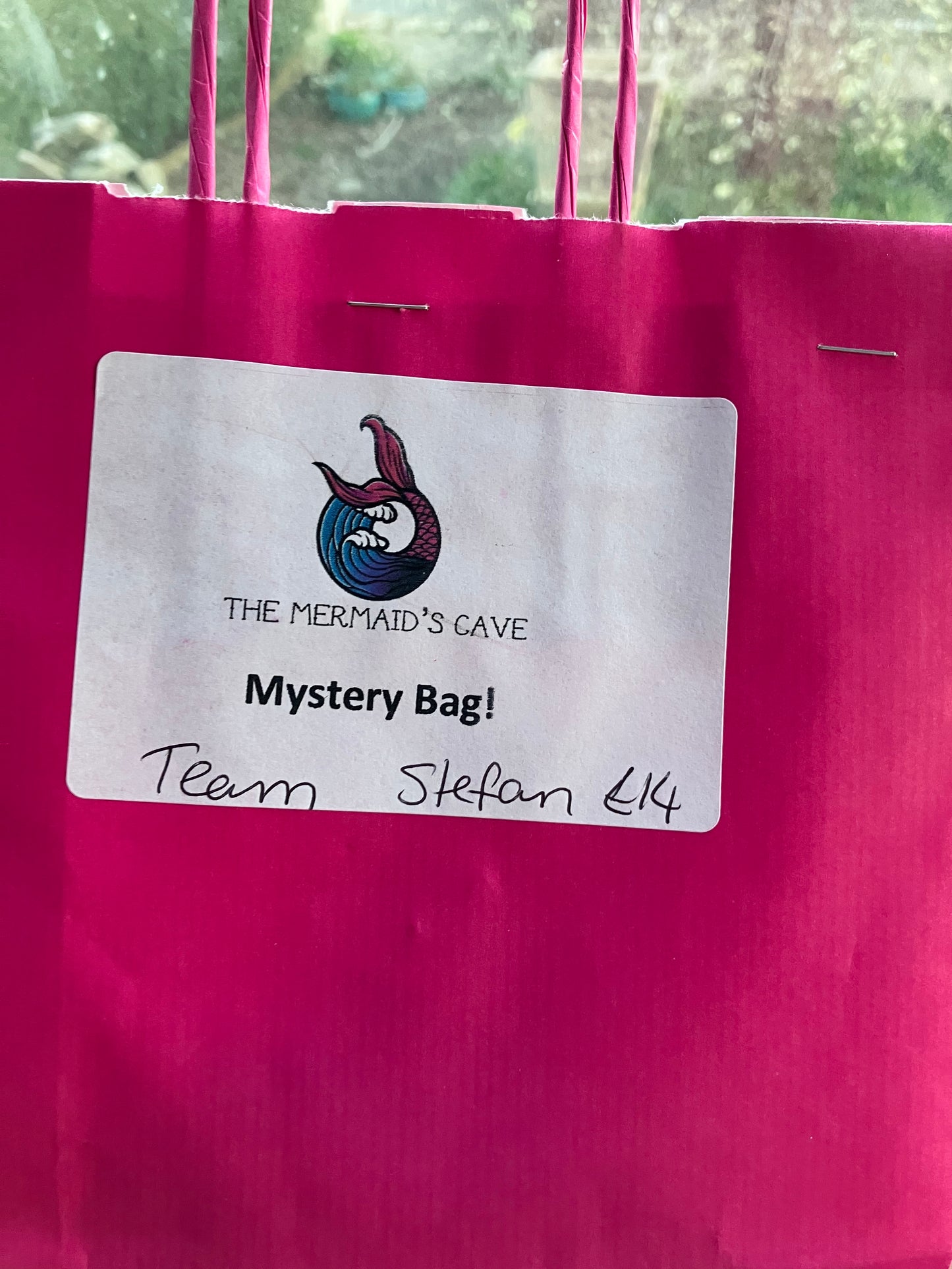 Team Stefan Mystery Bag