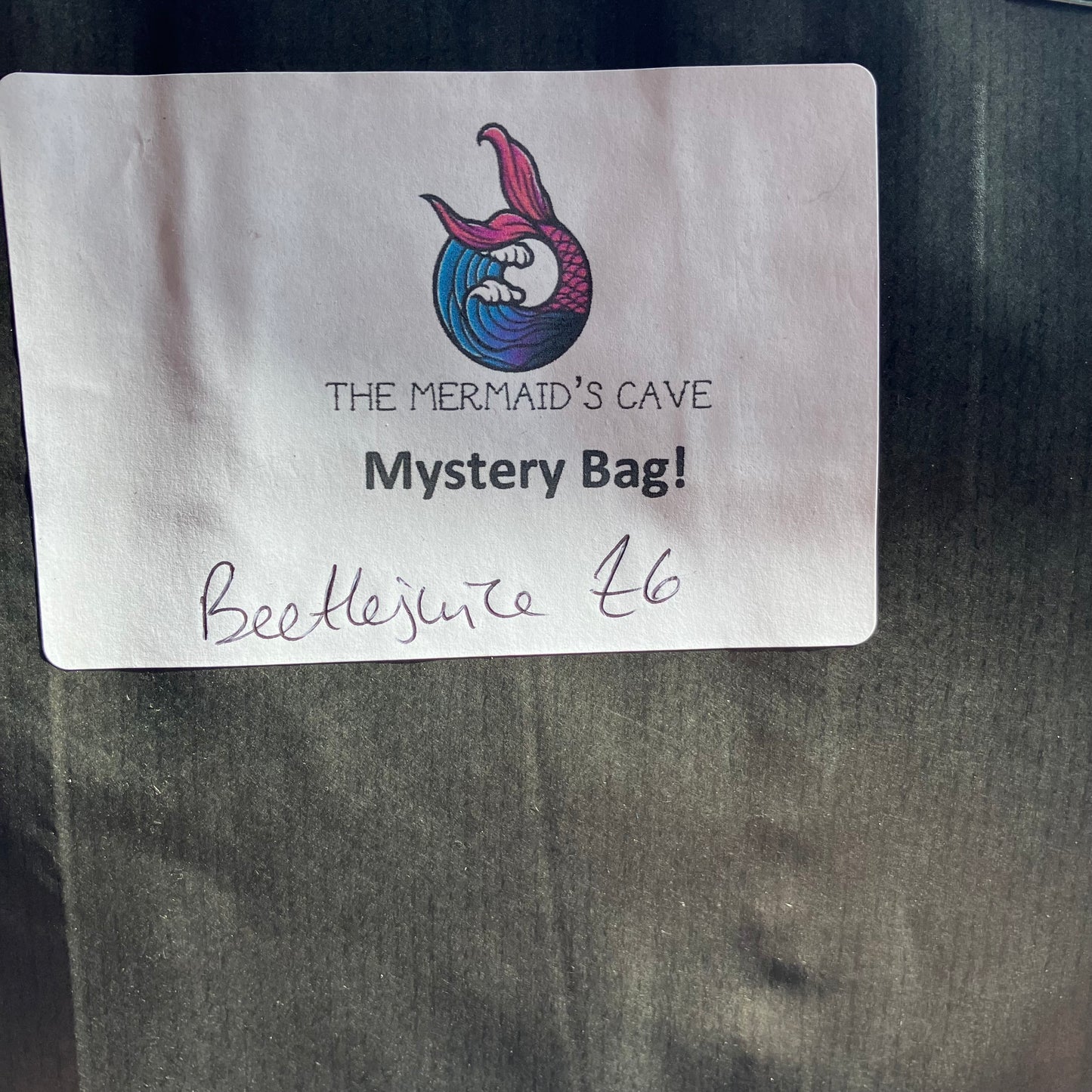 Beetle Mystery Bag