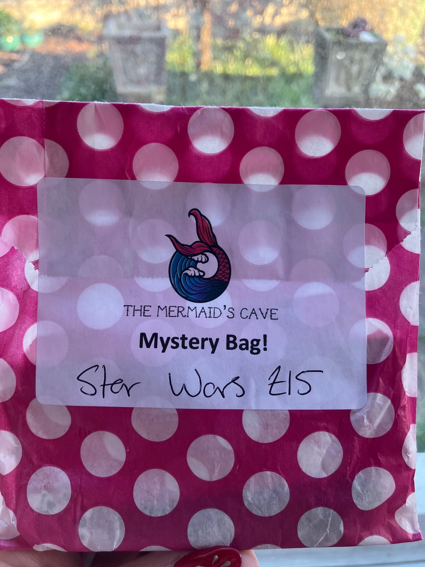 Galaxy Mystery Bag