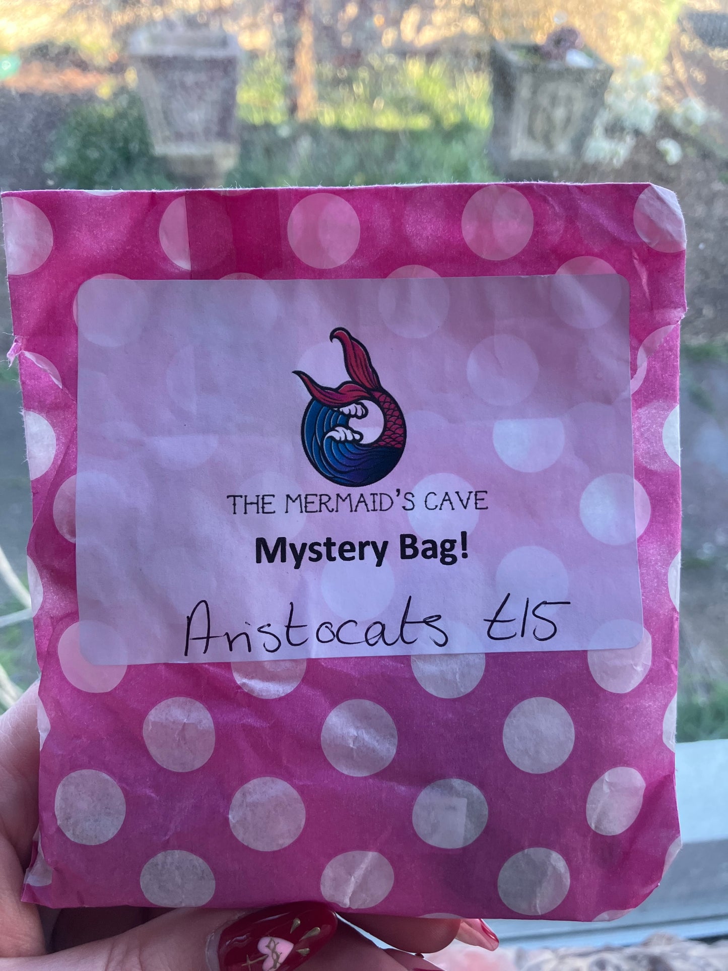 Cartoon Cats Mystery Bag