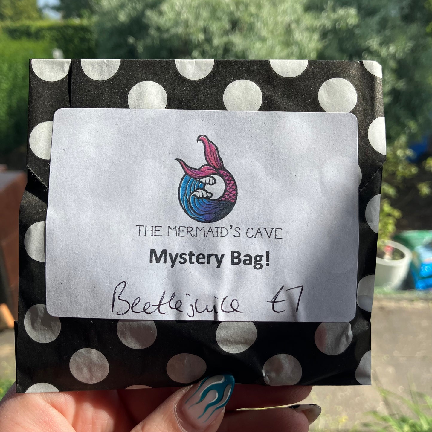 Beetle Mystery Bag