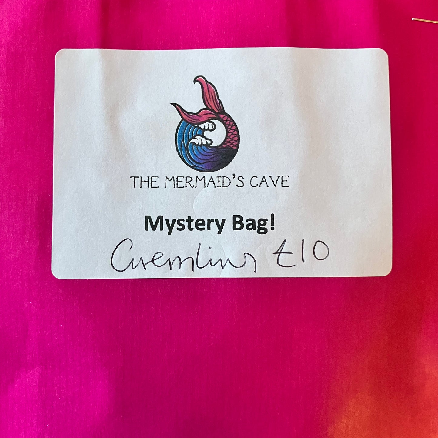 Creature Mystery Bag