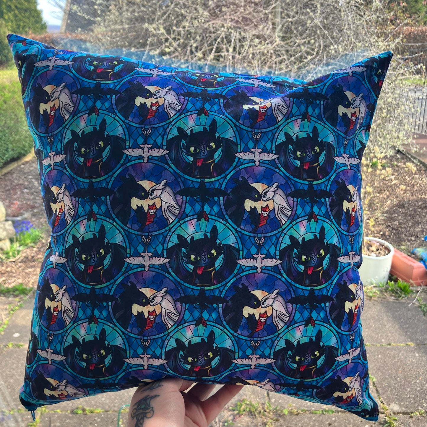 Dragon Trainer Cushion Cover