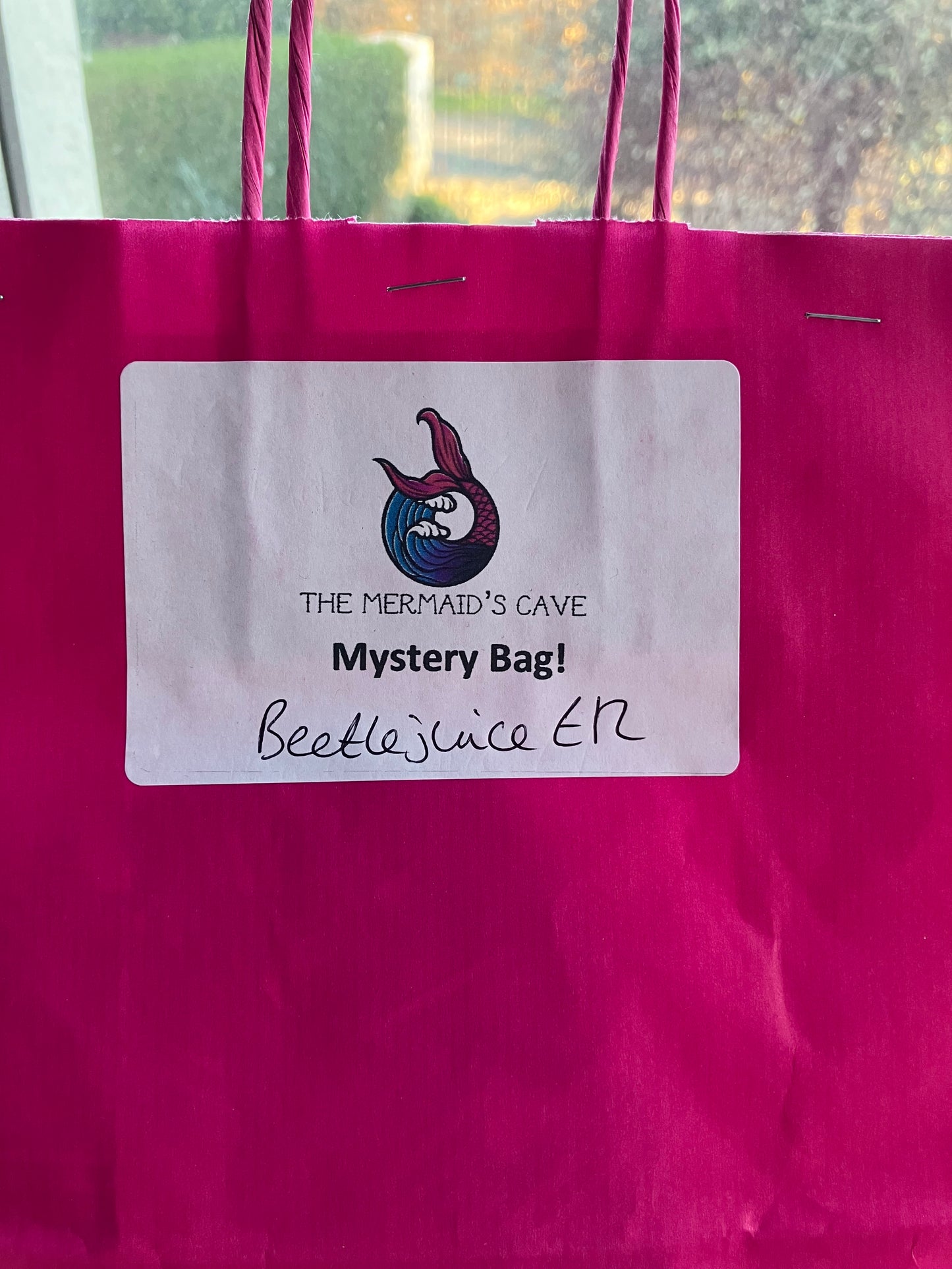 Beetle Mystery Bag