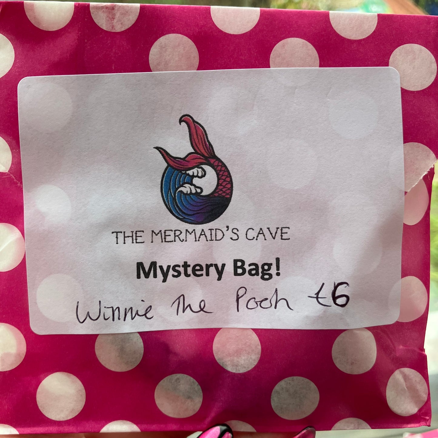 Cartoon Bear Mystery Bag