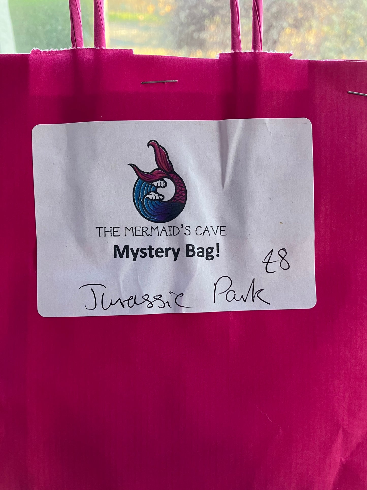 Jurassic Mystery Bag