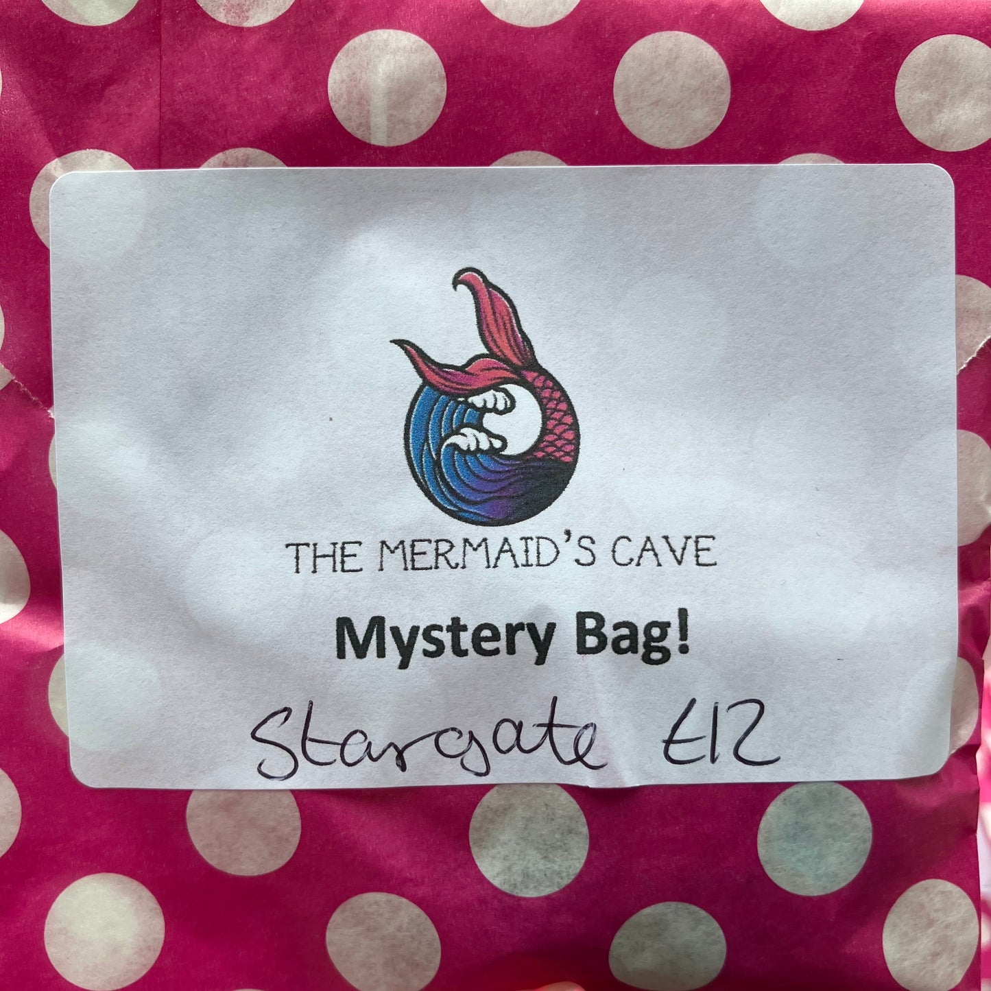 Sci Fi Mystery Bag