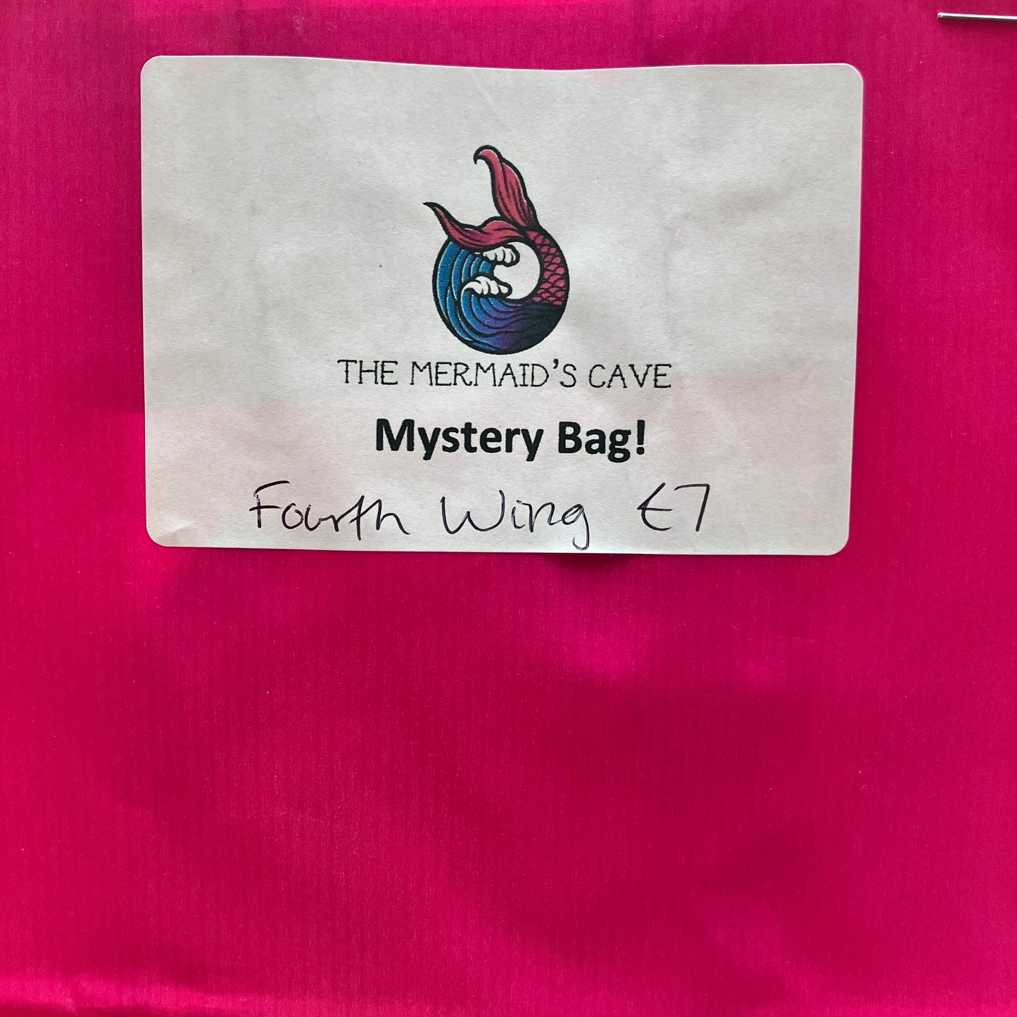 Dragon Rider Mystery Bag