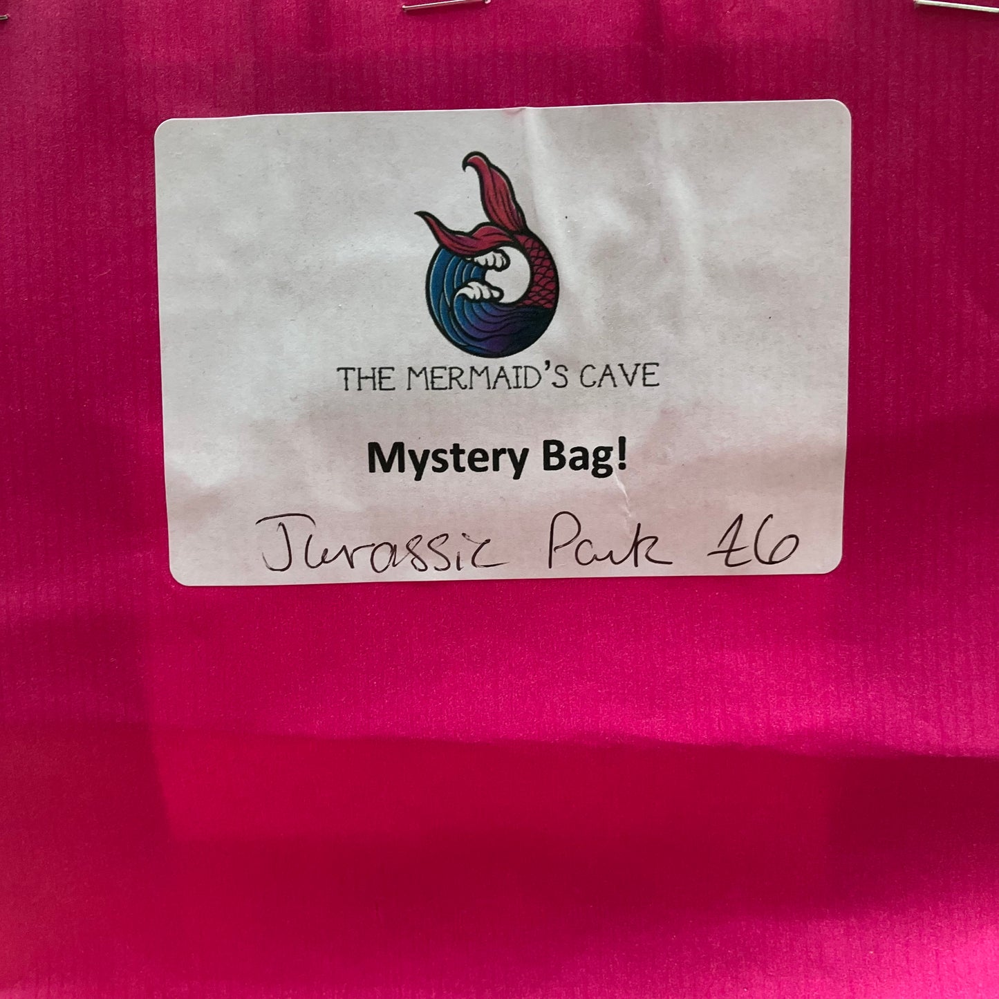 Jurassic Mystery Bag