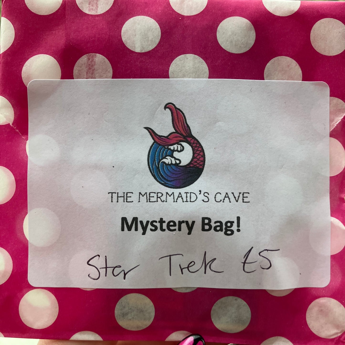 Trek Mystery Bag