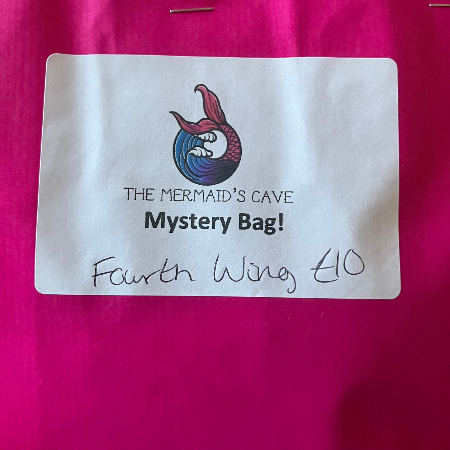 Dragon Rider Mystery Bag