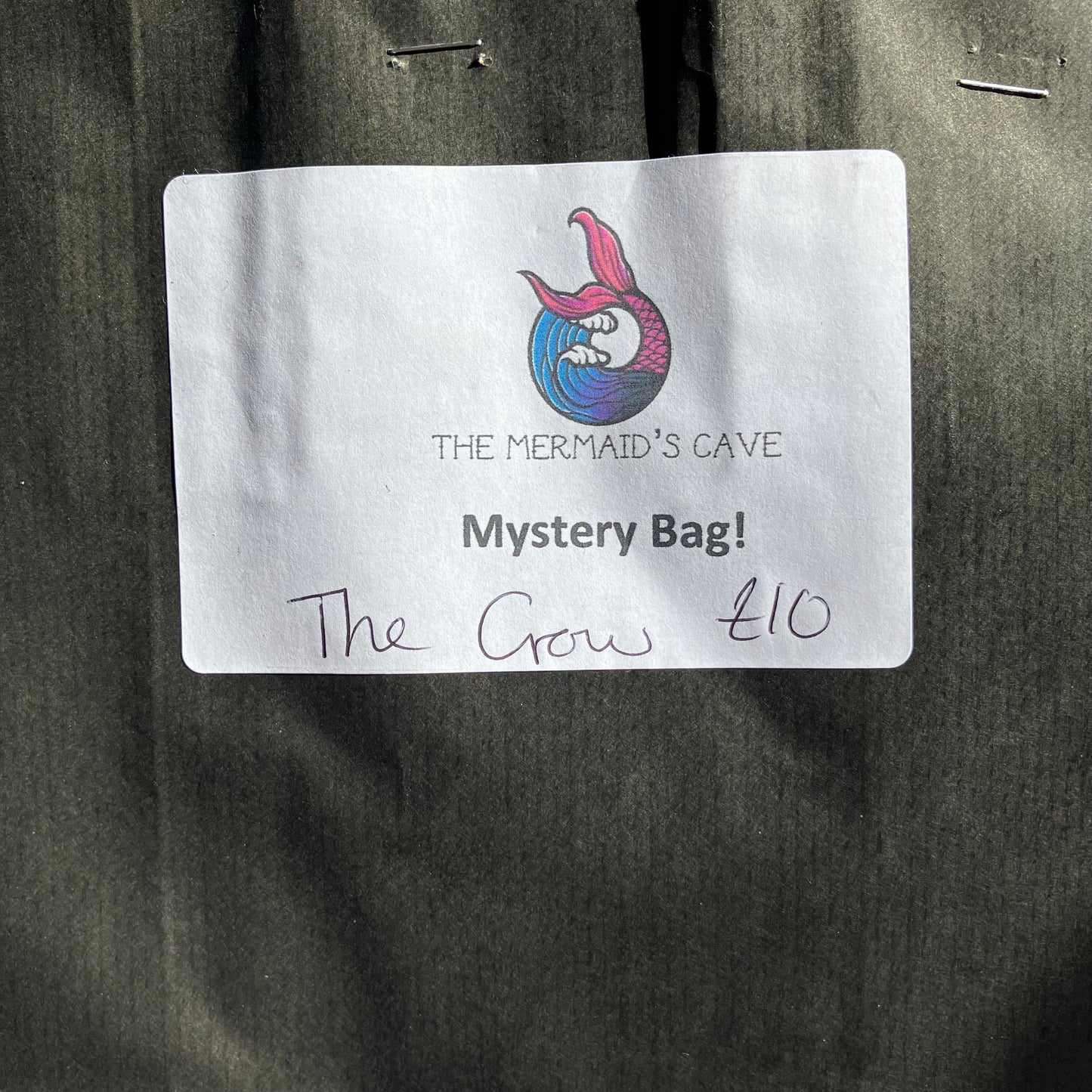 Horror Crow Mystery Bag