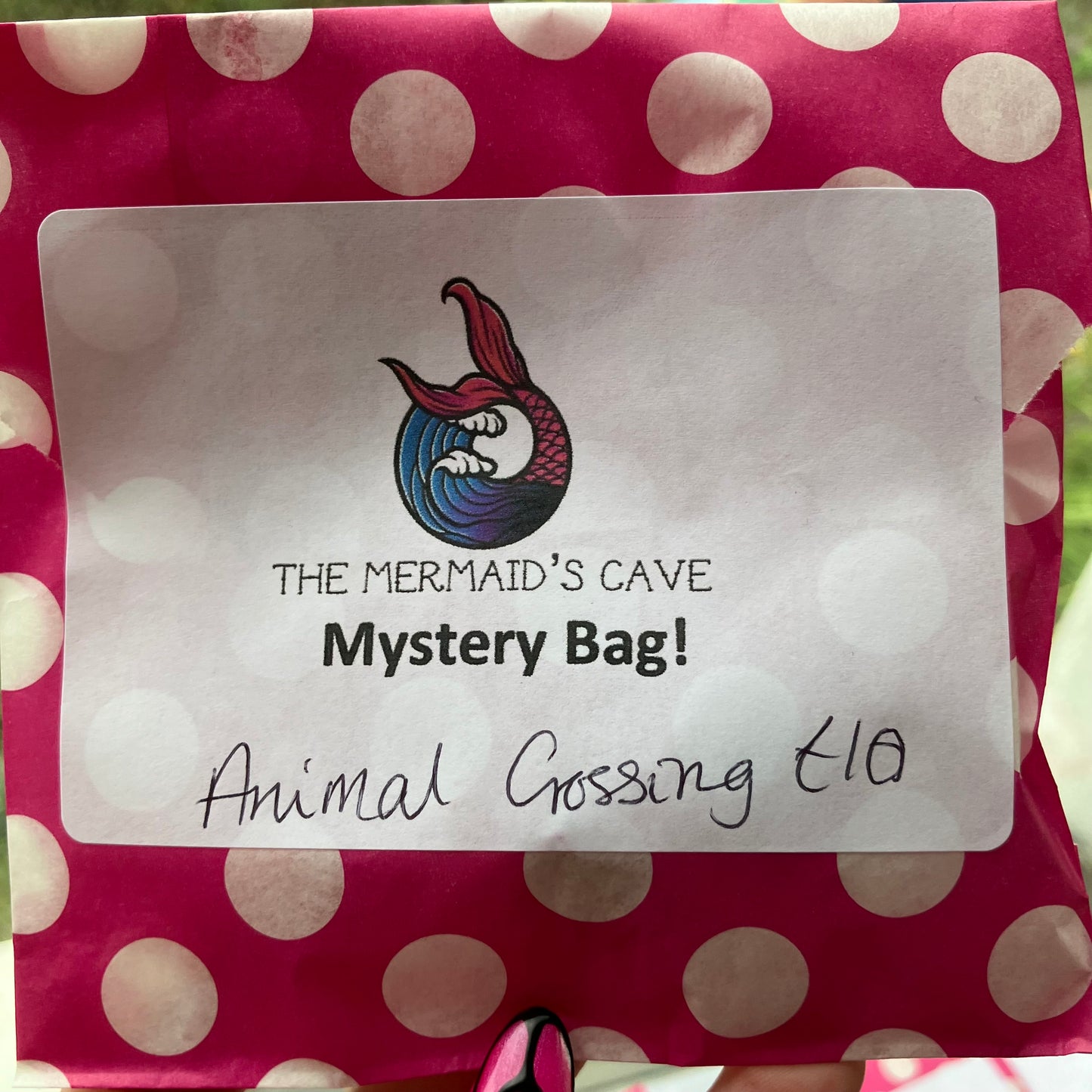 Animal Game Mystery Bag