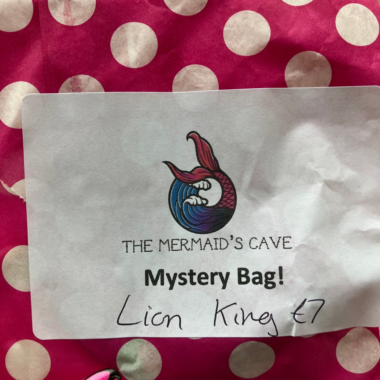Cartoon Lion Mystery Bag