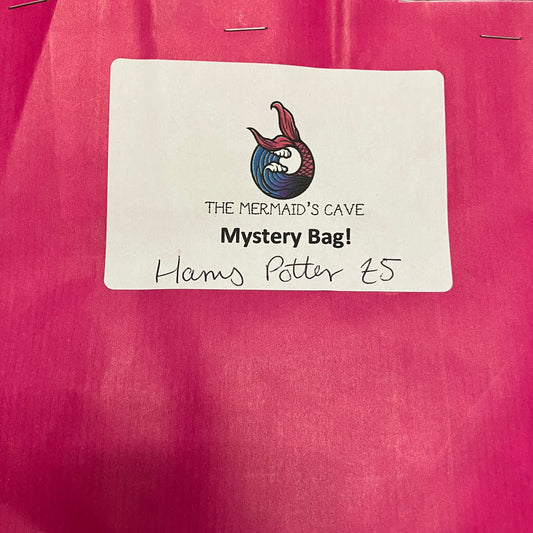 Wizard Mystery Bag