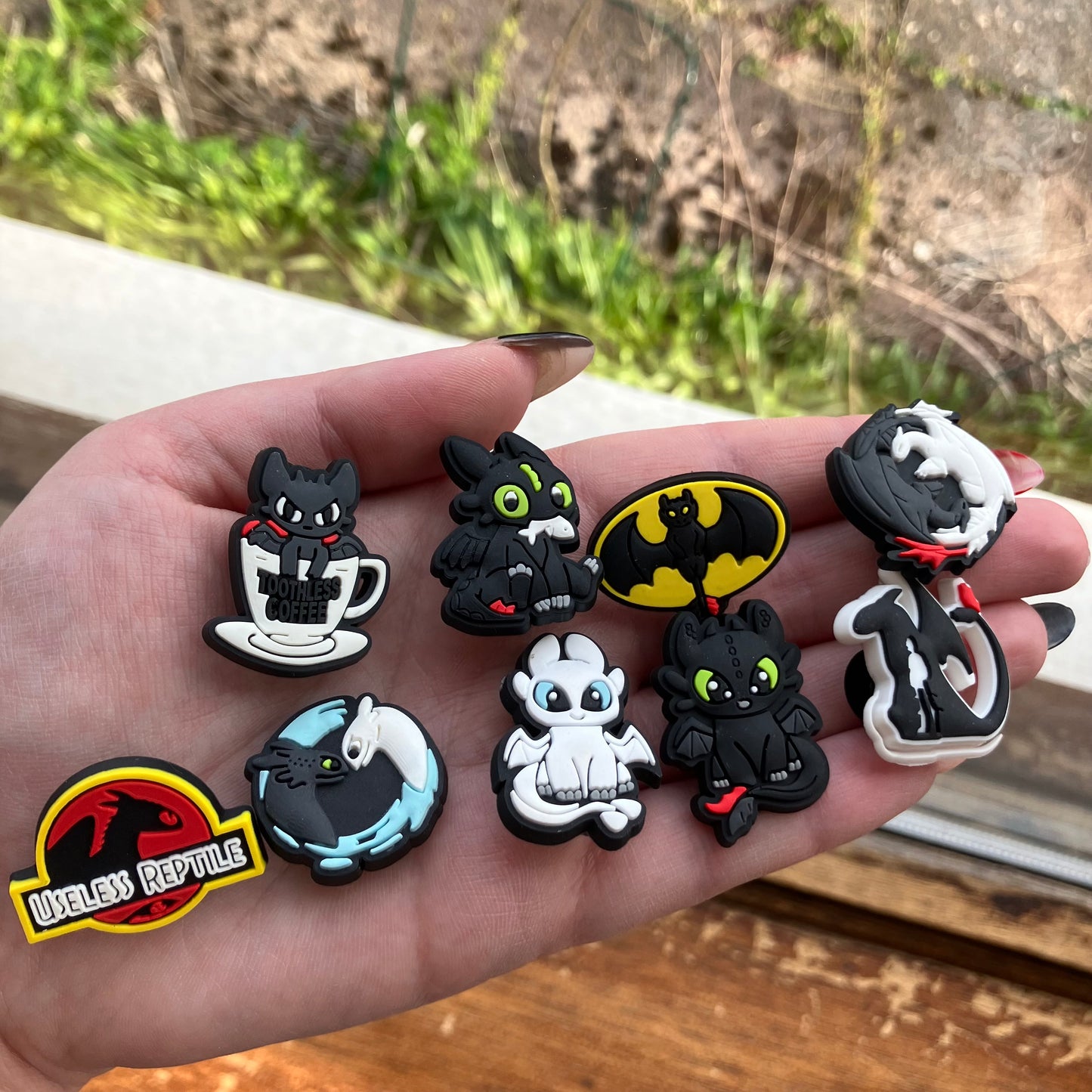 Dragon Trainer Shoe Charms