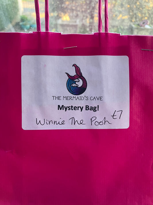 Cartoon Bear Mystery Bag