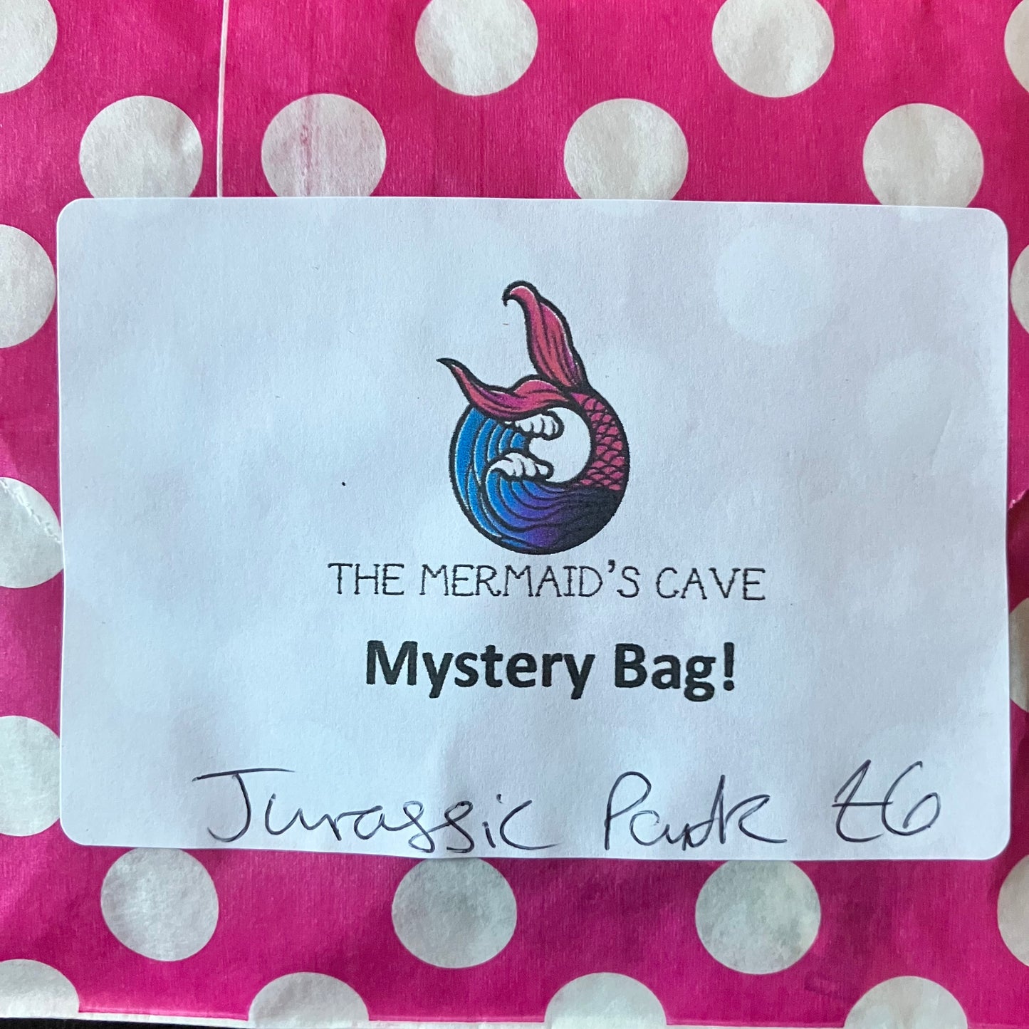 Jurassic Mystery Bag