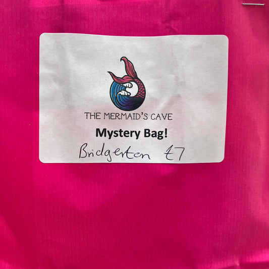 Regency Mystery Bag