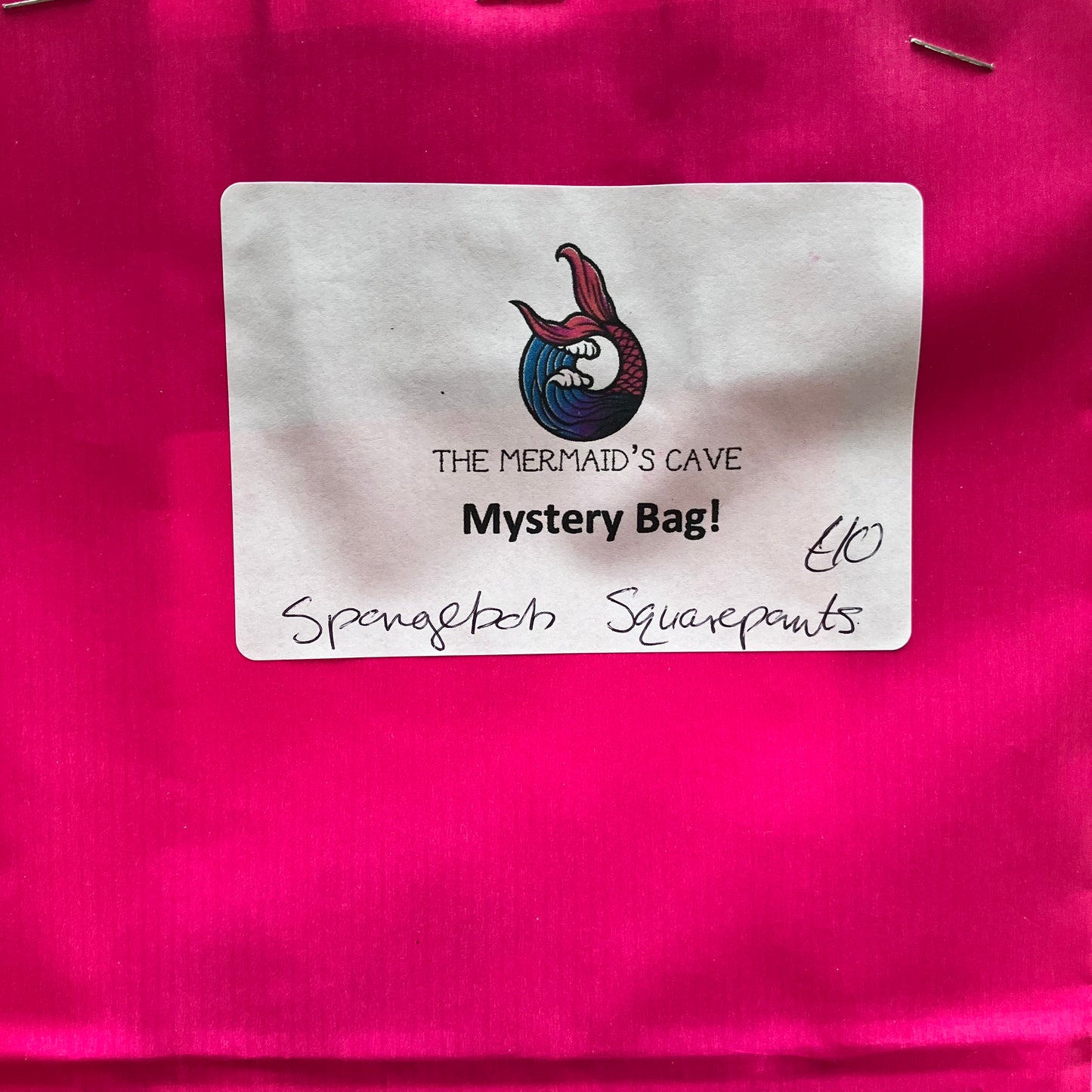 Sponge Mystery Bag