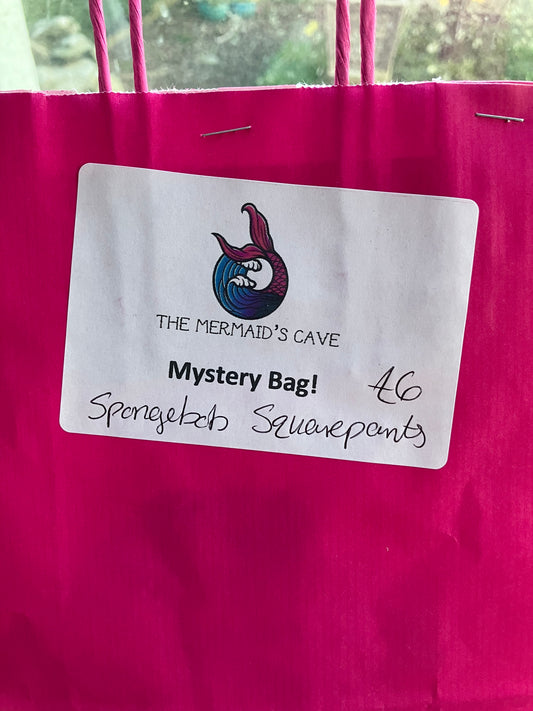 Sponge Mystery Bag