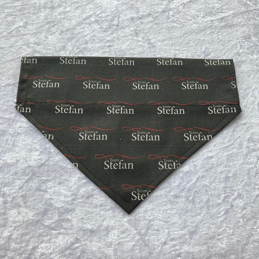 Team Stefan Dog Bandana